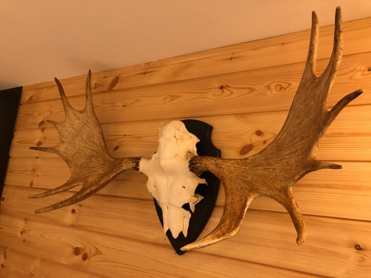 Chalet De Charme, Le "Caribou Lodge", Eifel Belge Bullange Εξωτερικό φωτογραφία