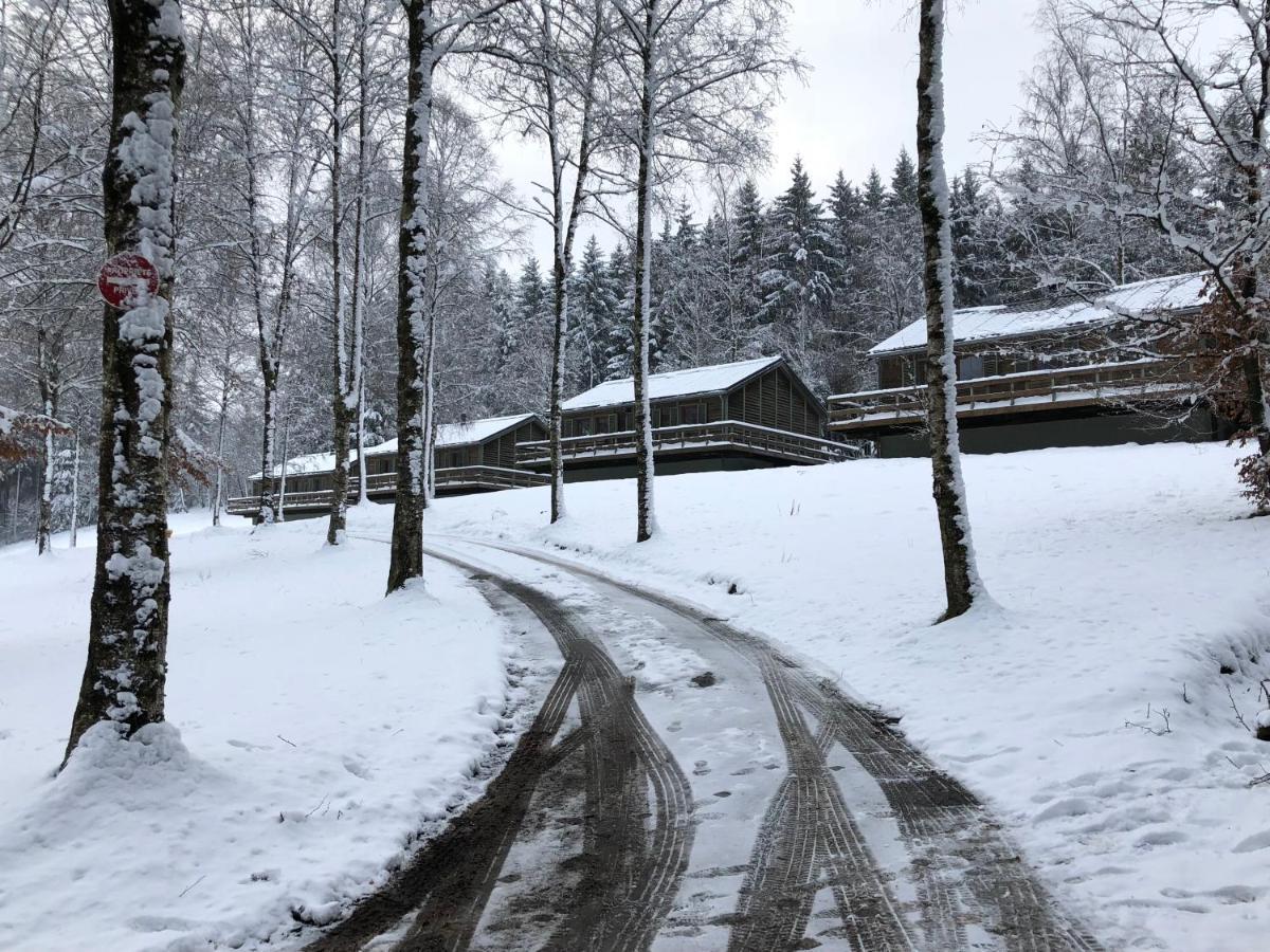 Chalet De Charme, Le "Caribou Lodge", Eifel Belge Bullange Εξωτερικό φωτογραφία