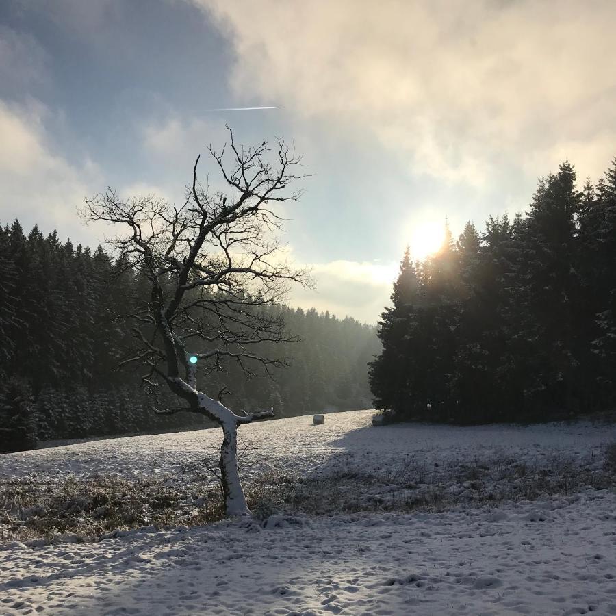 Chalet De Charme, Le "Caribou Lodge", Eifel Belge Bullange Εξωτερικό φωτογραφία